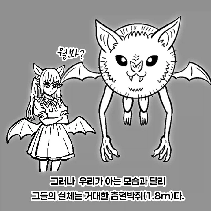 서큐버스에 대한 진실.manhwa_2.webp
