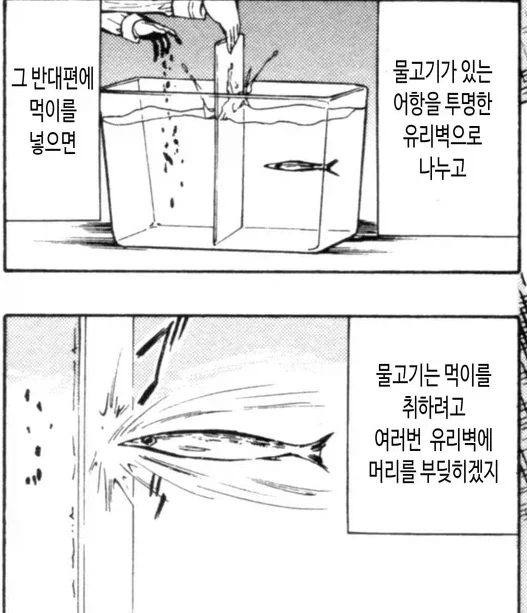 회사 최고의 복지 대표 이미지
