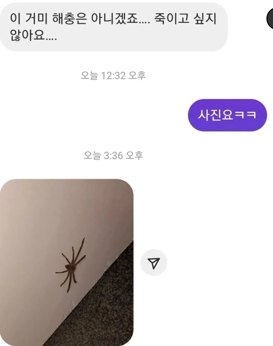 페도만 오시오... 건강에 좋은거 드림.... 이미지 3