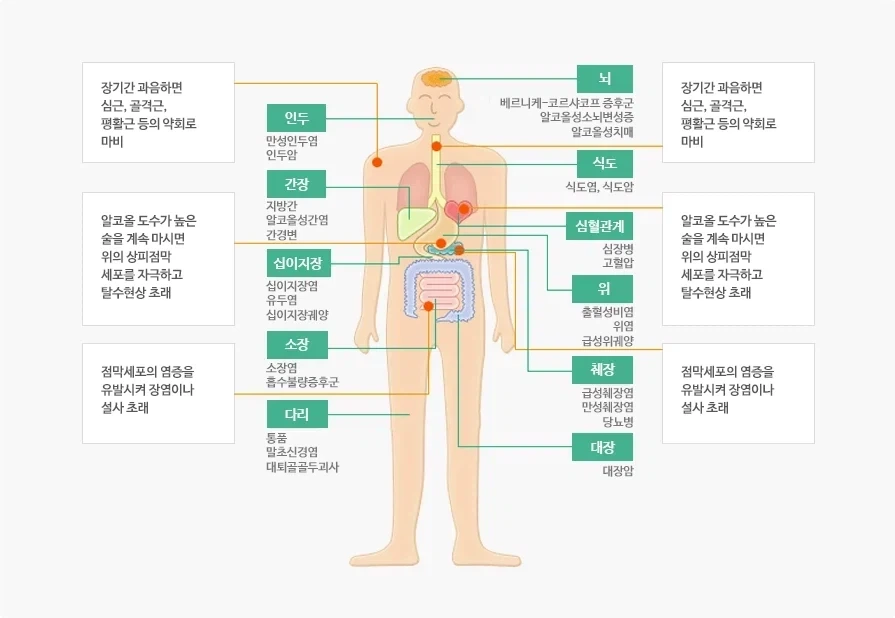 어른들은 이런거 안사 이미지 3