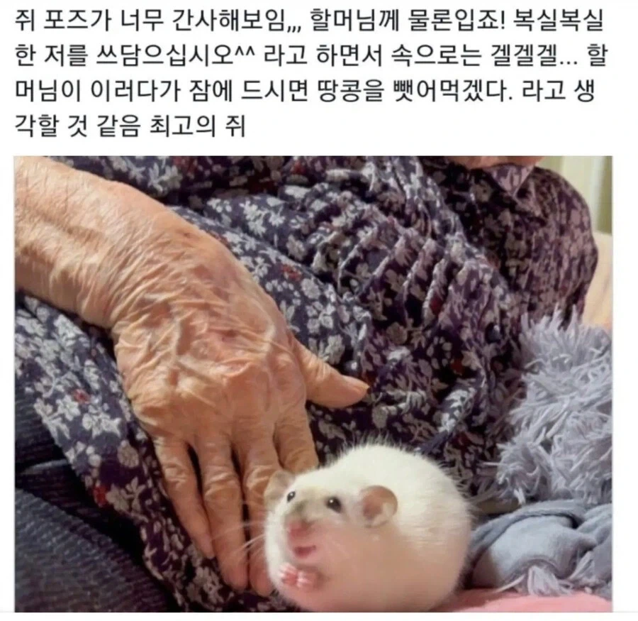 영화 오디세이 보지마라 개실망했다 대표 이미지