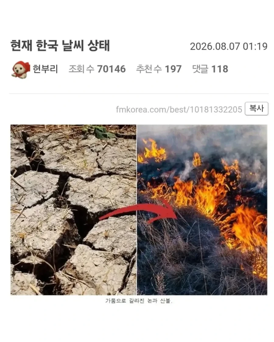 마이크론: 애플아 개소리 그만해라 이미지 4