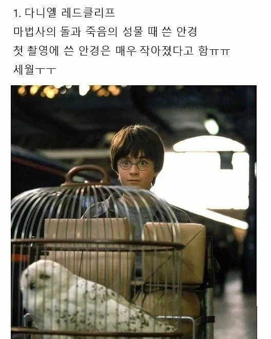 "북한의 군사력 투자를 남한은 너무 가볍게 여긴다"는 문장의 파탄력 이미지 8