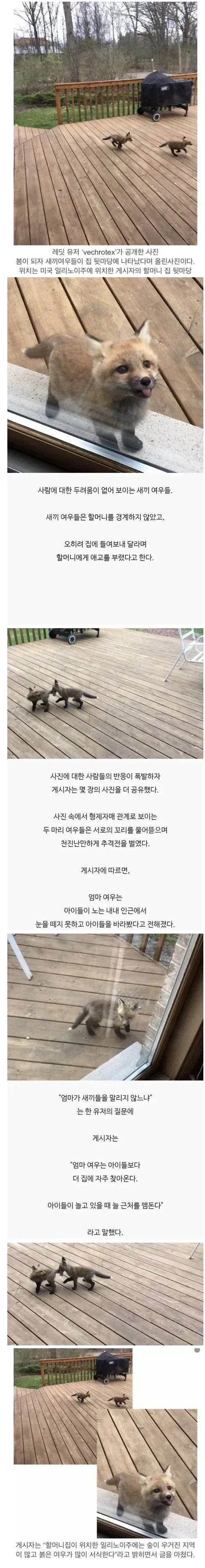 ???: 미안, 그땐 안 돼. 그날엔 한국에 가야해. 이미지 6