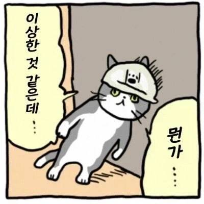 한국은 쉬었음 청년... 그럼 일본은...?_2.webp