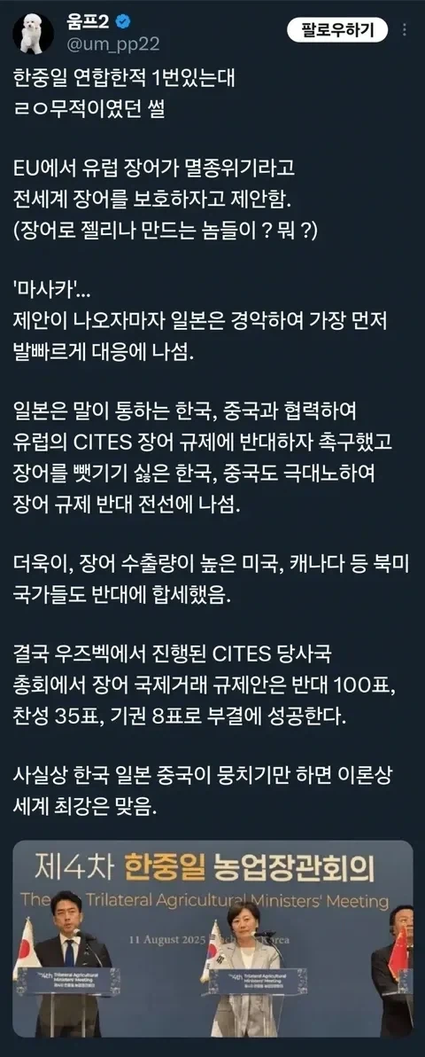 심판 접대하려면 텐프로정도는 해줘야지 안마방 ㅋㅋㅋㅋㅋ 대표 이미지