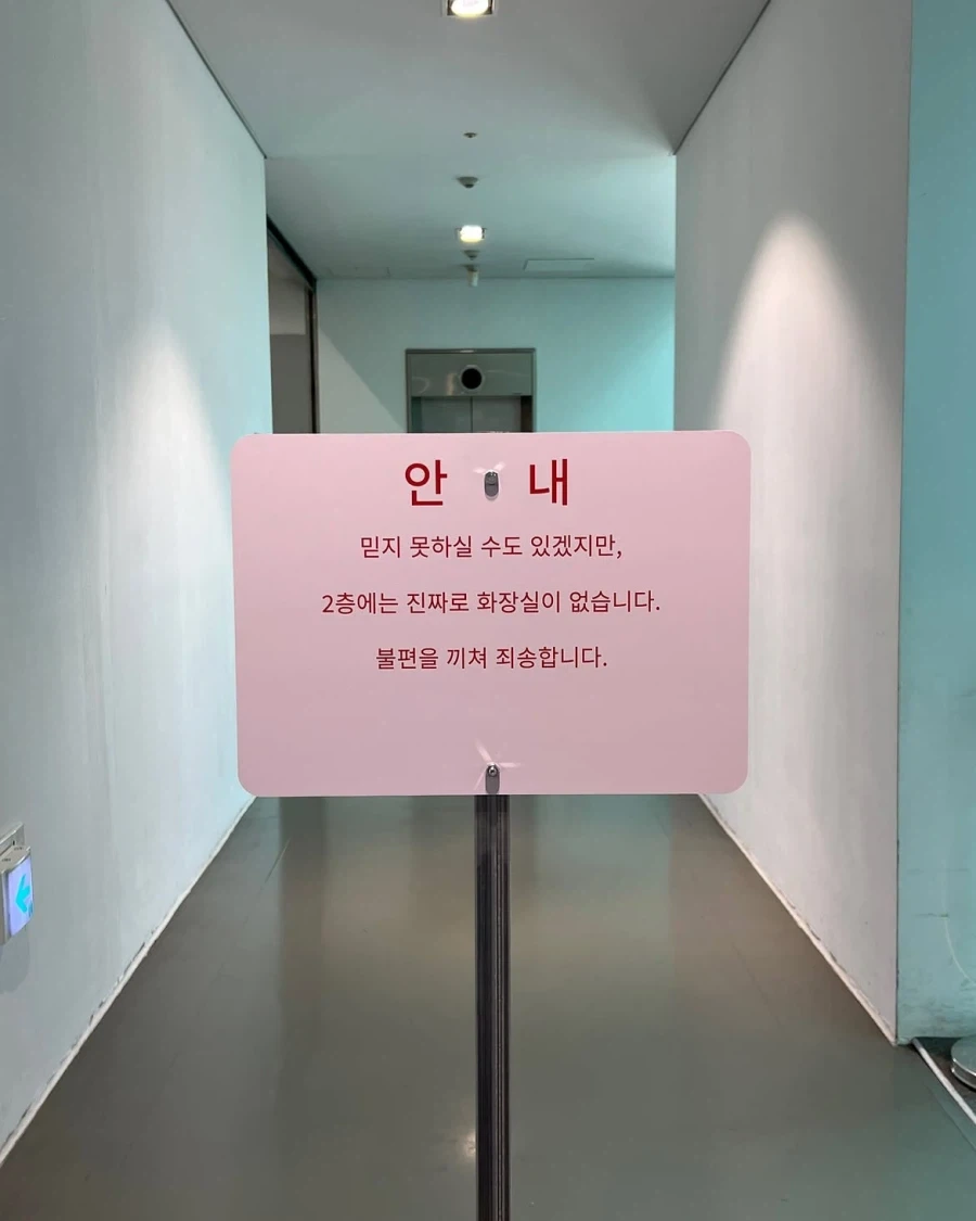 "저희 미술관 2층에는 화장실이 없습니다" 이미지 7