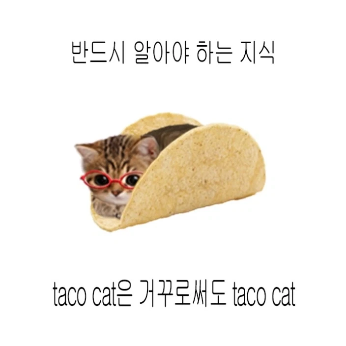 에마쨩 뒤에서 으럇으럇마렵네 대표 이미지