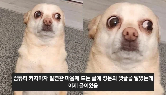 MCU)언제나 즐겁고 유쾌한 네드 대표 이미지