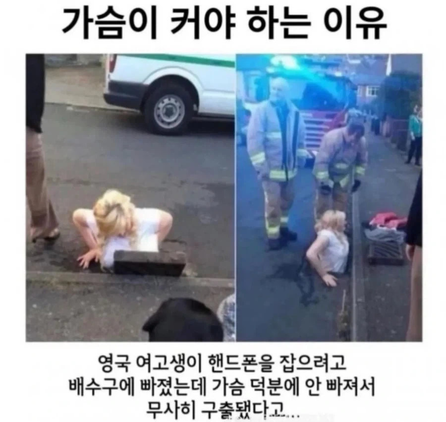 의외로 아직 금지가 아니었던 것.jpg 이미지 4