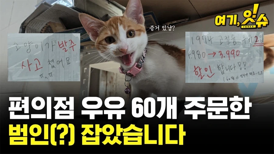 뭐? 백합짤 때문에 지구가 더워졌다고? 이미지 2