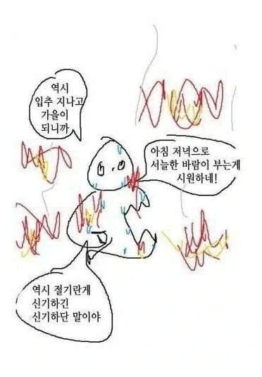 남자들 특징 대표 이미지
