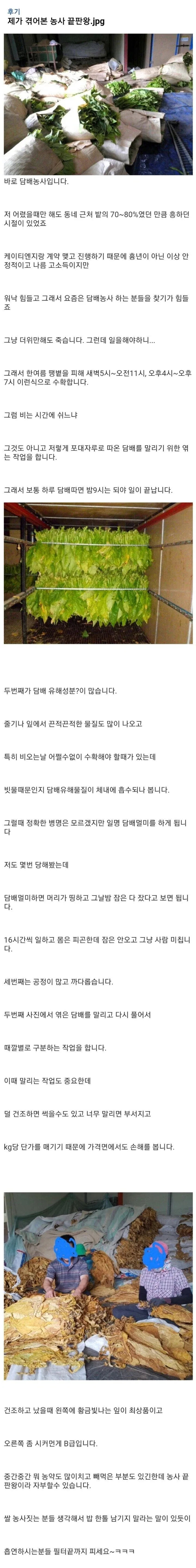 진구야 말이 되는 소리를해라 이미지 3