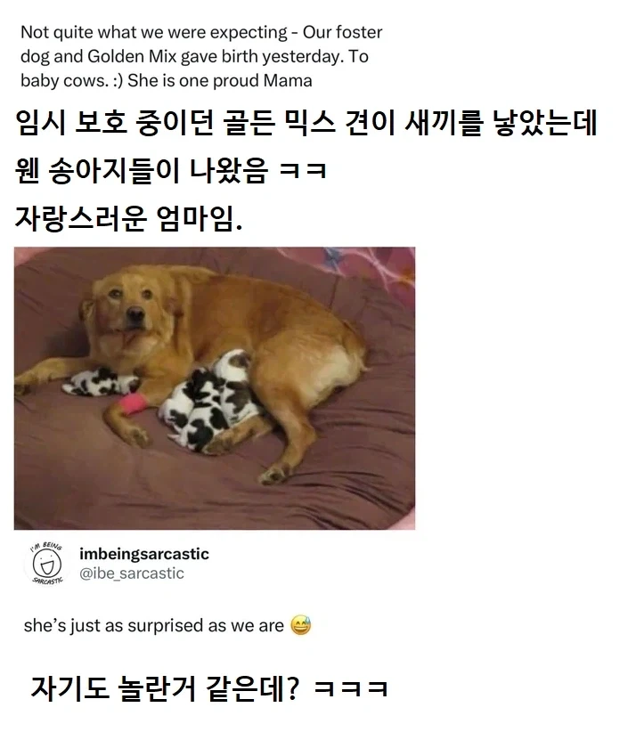 타노스가 필연적이지 않았던 이유 이미지 2