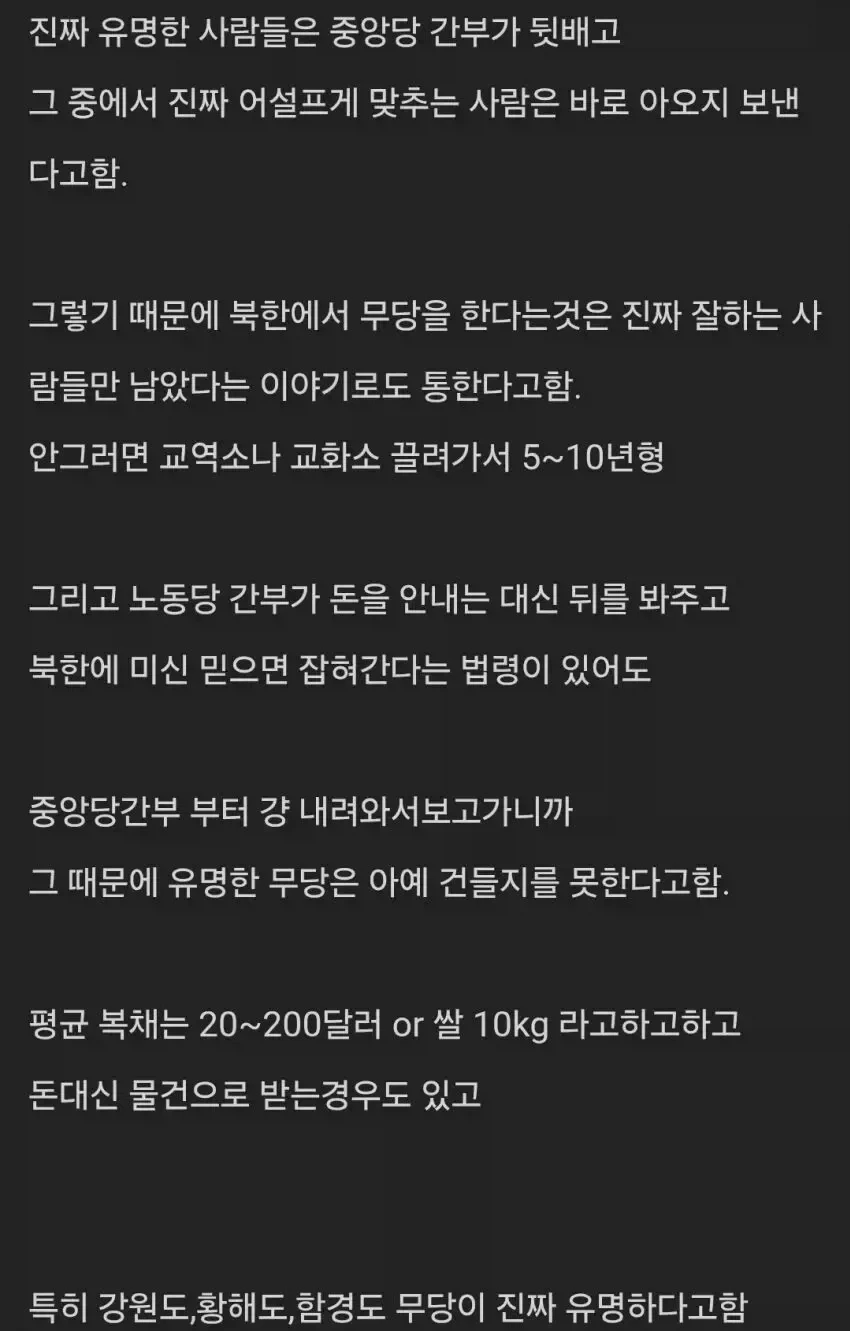 "진짜"만 남았다는 북한 무속인 이미지 2