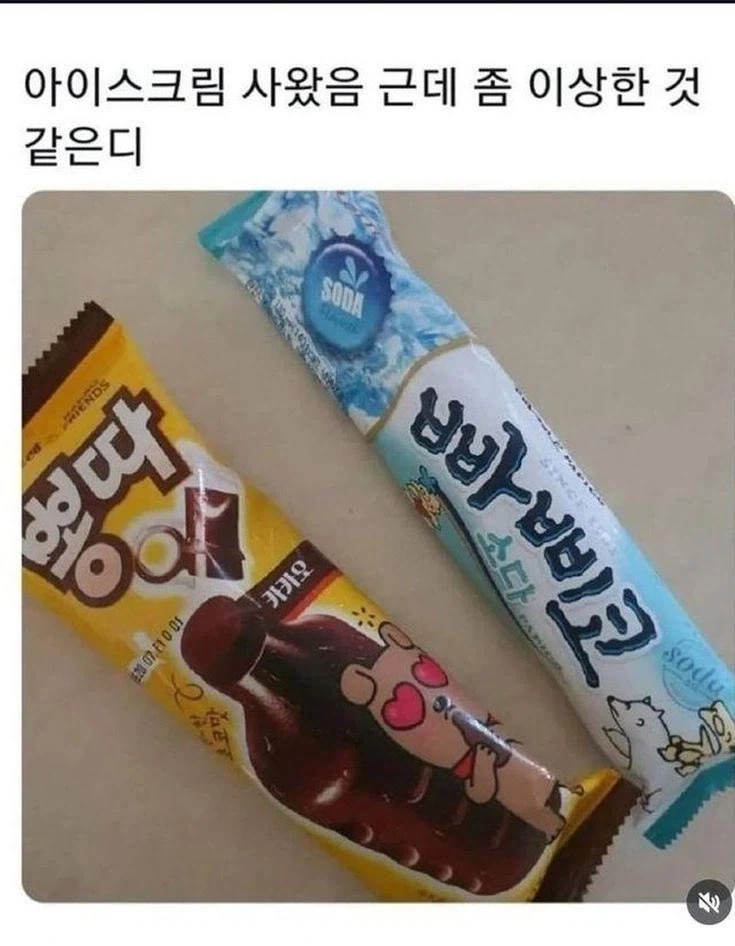 아는 사람만 안다는 슬픈 창경궁 뷰.jpg 이미지 2