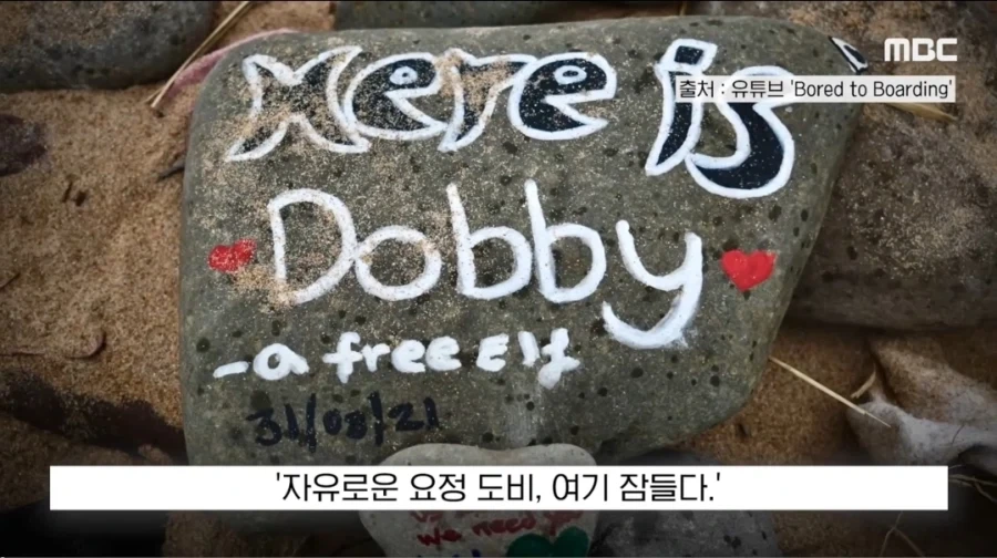 도비 무덤 훼손 막아낸 팬들.jpg_2.webp