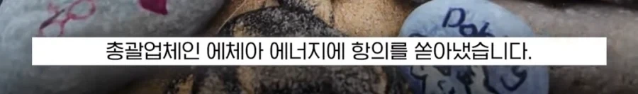 도비 무덤 훼손 막아낸 팬들.jpg_13.webp