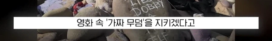 도비 무덤 훼손 막아낸 팬들.jpg_16.webp