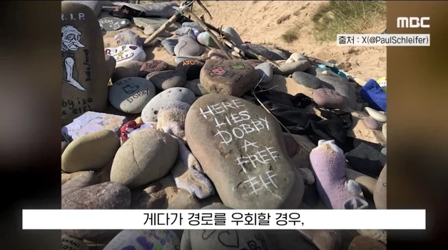 도비 무덤 훼손 막아낸 팬들.jpg_18.webp