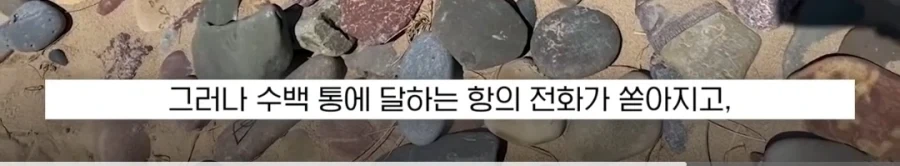 도비 무덤 훼손 막아낸 팬들.jpg_21.webp