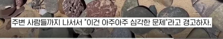도비 무덤 훼손 막아낸 팬들.jpg_22.webp