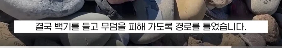 도비 무덤 훼손 막아낸 팬들.jpg_23.webp
