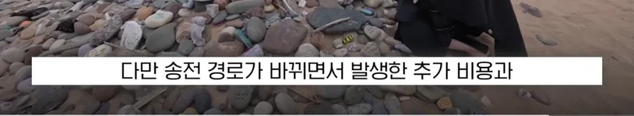 도비 무덤 훼손 막아낸 팬들.jpg_25.webp