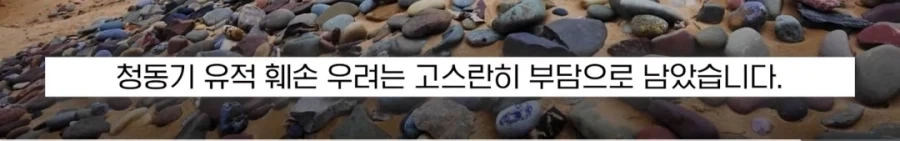 도비 무덤 훼손 막아낸 팬들.jpg_26.webp