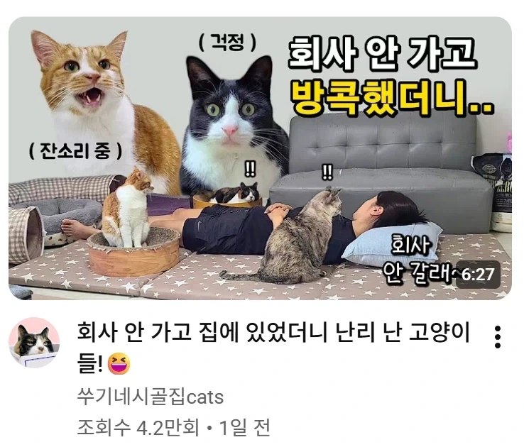 "패스트푸드점에서 수상한 모의를 하는" 이미지 8