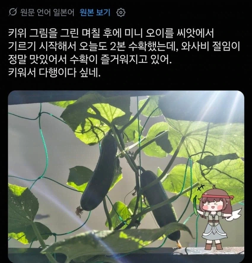 치코리타가 오랫동안 최악의 폐급 포켓몬이었던 이유 이미지 5