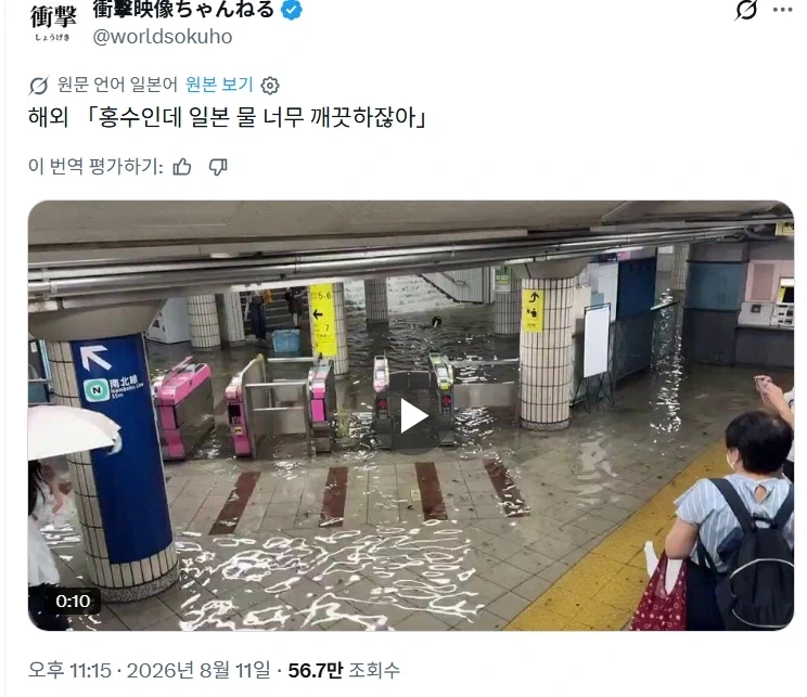 증조할아버지라 독립투사였던 이유 이미지 3