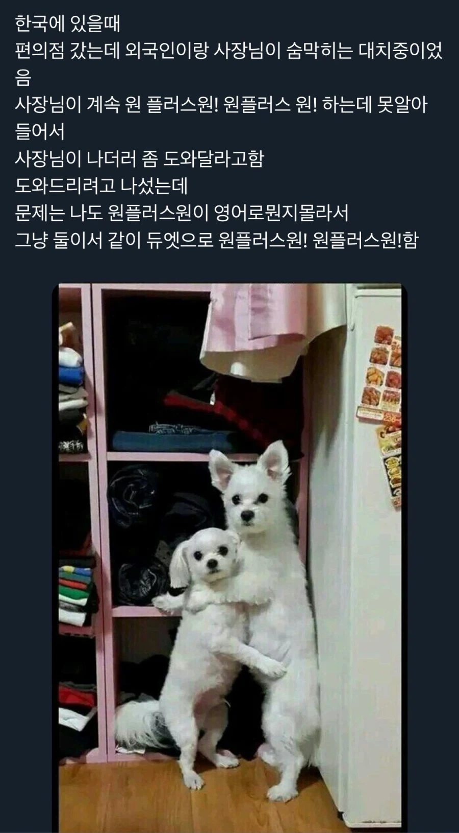 증조할아버지의 의도치 않은 독립운동 이미지 7