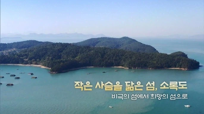친일파배우가 좀 많이 안된이유는 간단함_3.webp