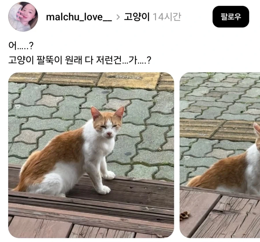나와 계약해서 마법소녀가 되어줘! 대표 이미지