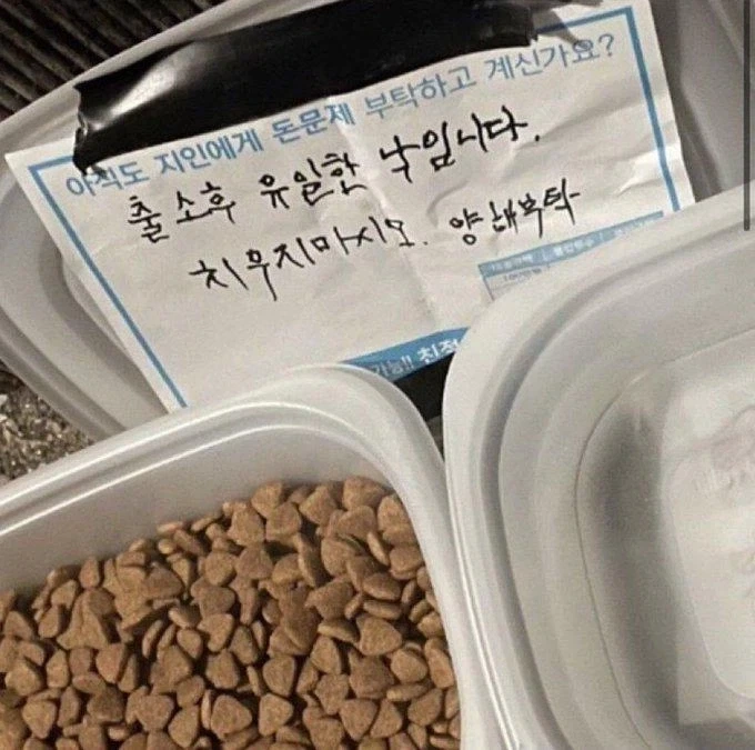 ?? : 솔직히 이순신은 존1나 거품이지ㅋㅋㅋ 대표 이미지