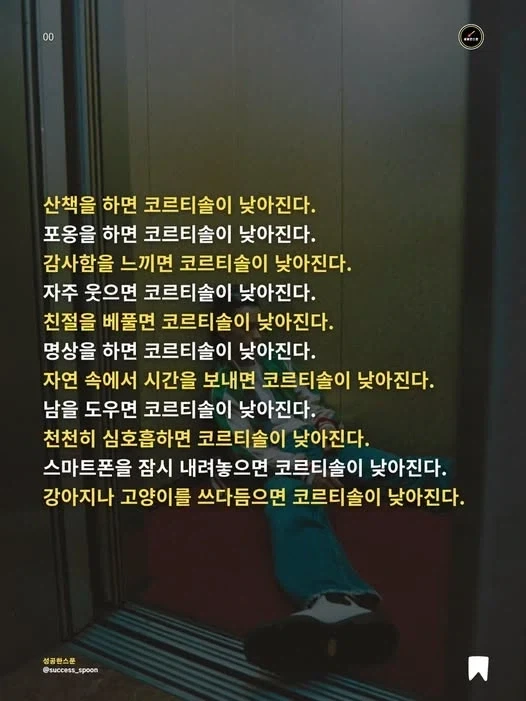테일.... 아니 지우야! 이미지 7