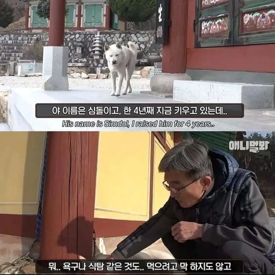 김풍 셰프(?)님도 모르는 재료.jpg 이미지 2