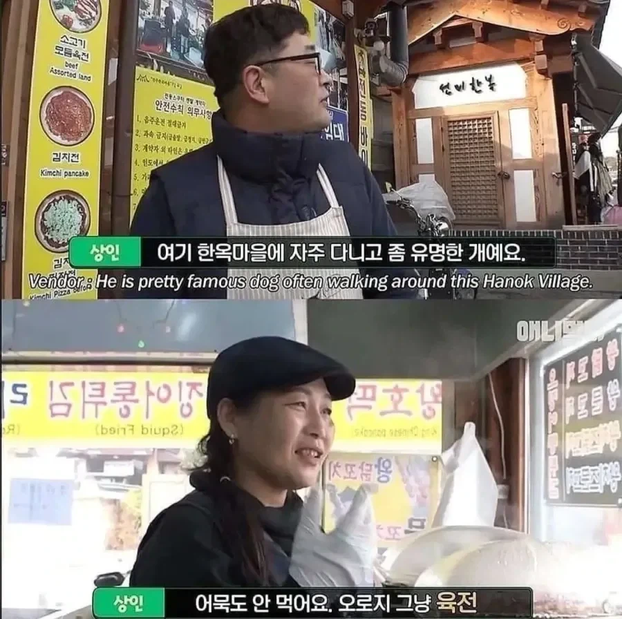 절에사는 개가 식탐이 없는 이유_7.webp