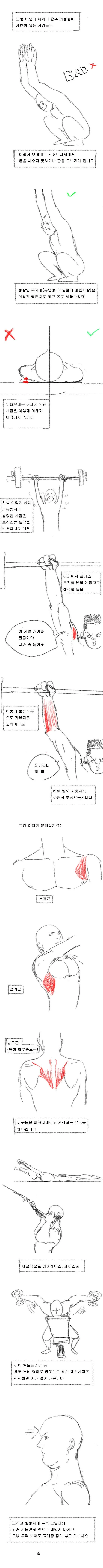 manga_2745617_002.webp