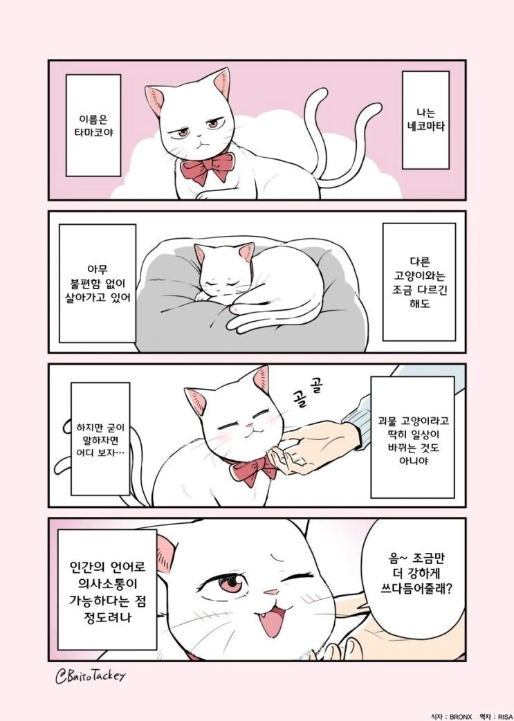 가슴 미사일 발사 이미지 2
