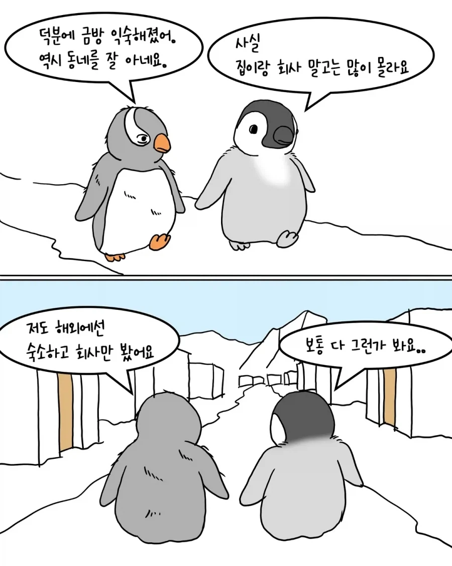 해외에서 돌아온 펭귄 만화.manwha_8.webp
