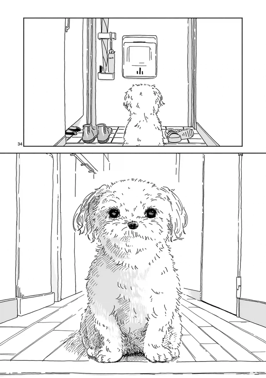 만약 키우던 강아지가 말을 한다면... manhwa_32.webp