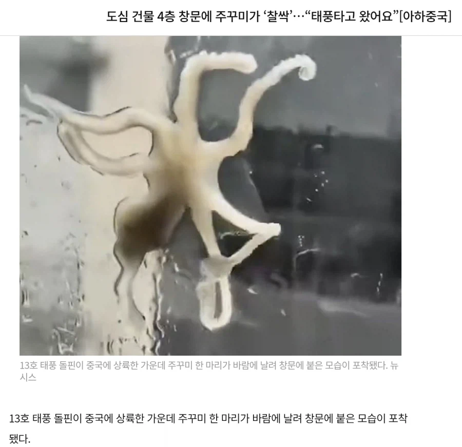 주변에 꼭 이런 사람 한명 쯤은 있음 이미지 4
