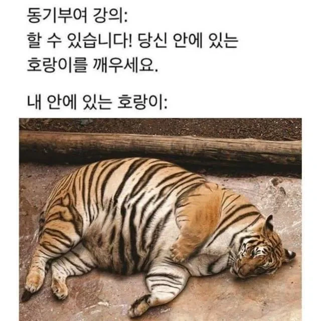 아일릿 모카의 정체 대표 이미지