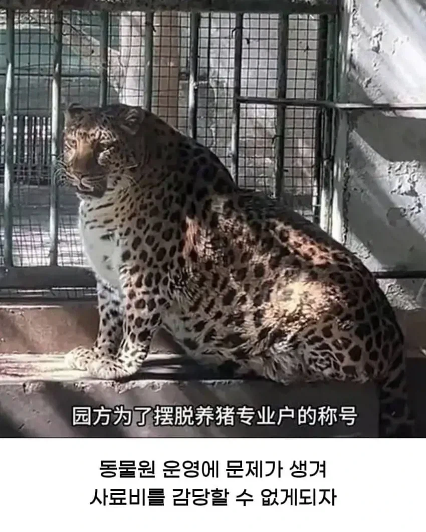 MCU) 너무 행복해진다는 차세대 사이클롭스 이미지 3