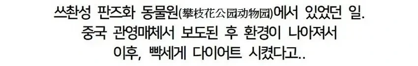 중국의 어느 동물원에서 일어난 참사(?).jpg_6.webp