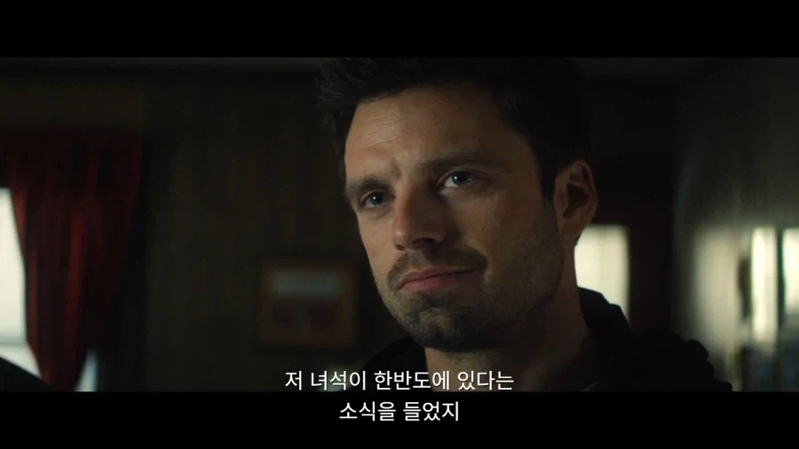 MCU) 코리아를 위해 싸운 윈터솔져_2.webp