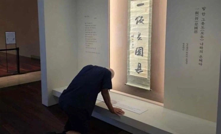 엄마가 유기동물을 데려와서 문제임.jpg 이미지 2