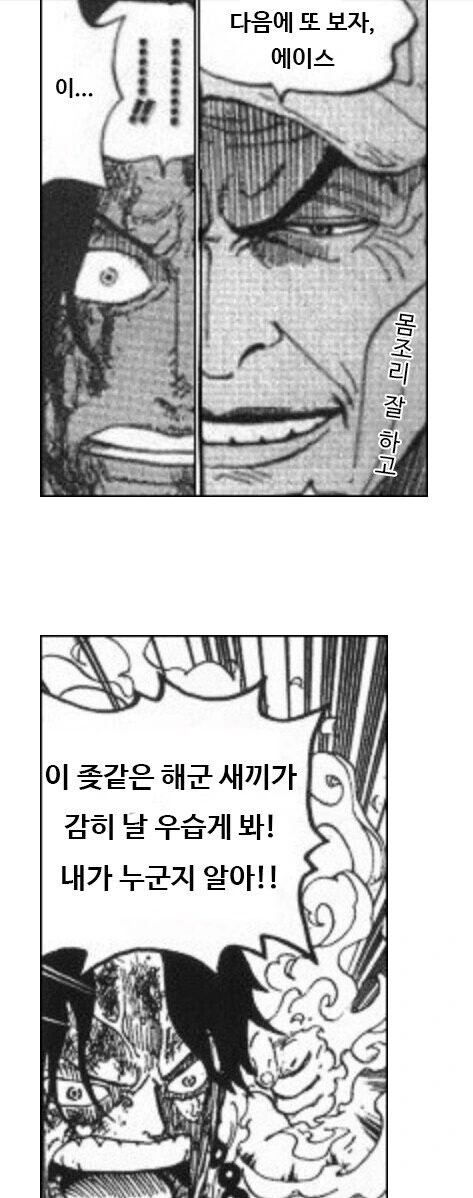 원피스의 에이스가 죽은 이유_3.jpg